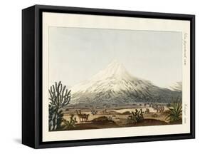The Chimborazo in South America-null-Framed Stretched Canvas