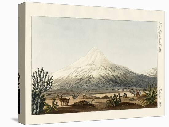 The Chimborazo in South America-null-Stretched Canvas