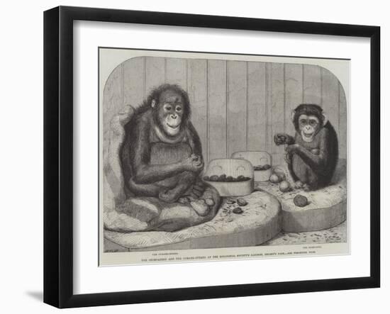 The Chimpanzee and the Ourang-Outang at the Zoological Society's Gardens, Regent's Park-Friedrich Wilhelm Keyl-Framed Giclee Print