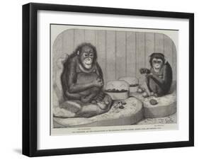 The Chimpanzee and the Ourang-Outang at the Zoological Society's Gardens, Regent's Park-Friedrich Wilhelm Keyl-Framed Giclee Print