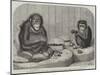 The Chimpanzee and the Ourang-Outang at the Zoological Society's Gardens, Regent's Park-Friedrich Wilhelm Keyl-Mounted Giclee Print