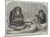 The Chimpanzee and the Ourang-Outang at the Zoological Society's Gardens, Regent's Park-Friedrich Wilhelm Keyl-Mounted Giclee Print