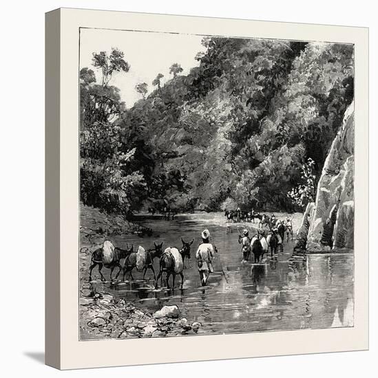 The Chin Lushai Expeditionary Force, a Mule Convoy Crossing the Loung Gut Choung Stream, 1890-null-Stretched Canvas