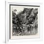 The Chin Lushai Expeditionary Force, a Mule Convoy Crossing the Loung Gut Choung Stream, 1890-null-Framed Giclee Print