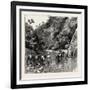 The Chin Lushai Expeditionary Force, a Mule Convoy Crossing the Loung Gut Choung Stream, 1890-null-Framed Giclee Print