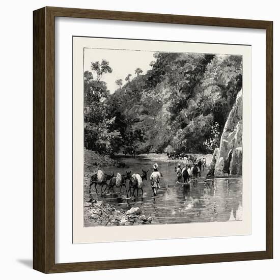 The Chin Lushai Expeditionary Force, a Mule Convoy Crossing the Loung Gut Choung Stream, 1890-null-Framed Giclee Print