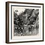 The Chin Lushai Expeditionary Force, a Mule Convoy Crossing the Loung Gut Choung Stream, 1890-null-Framed Giclee Print