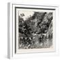 The Chin Lushai Expeditionary Force, a Mule Convoy Crossing the Loung Gut Choung Stream, 1890-null-Framed Giclee Print