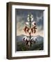 The China Limodoron-null-Framed Art Print