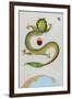 The Chinese Dragon-null-Framed Premium Giclee Print