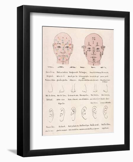The Chinese System of Physiology - How Your Facial Characteristics Reveal Your Character-null-Framed Art Print