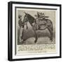 The Chitral Relief Force-null-Framed Giclee Print