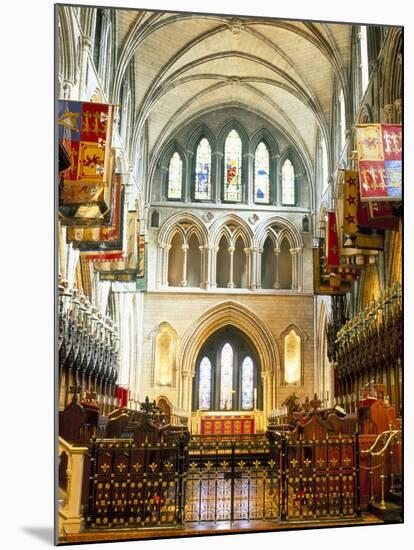 The Choir and Banners, St. Patrick's Catholic Cathedral, Dublin, County Dublin, Eire (Ireland)-Bruno Barbier-Mounted Photographic Print