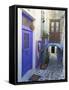 The Chora (Hora), the Kastro Old City, Naxos , Cyclades Islands, Greek Islands, Greece, Europe-Tuul-Framed Stretched Canvas
