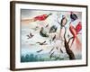 The Chorus of Birds, C.1650-1675-Jan Thomasz. van Kessel-Framed Giclee Print