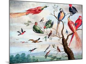 The Chorus of Birds, C.1650-1675-Jan Thomasz. van Kessel-Mounted Giclee Print