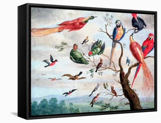 The Chorus of Birds, C.1650-1675-Jan Thomasz. van Kessel-Framed Stretched Canvas