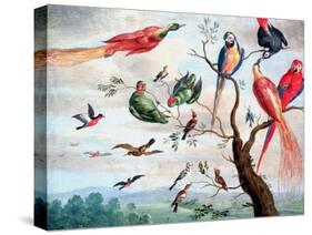 The Chorus of Birds, C.1650-1675-Jan Thomasz. van Kessel-Stretched Canvas
