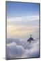The Christ Statue (Cristo Redentor) on the summit of Corcovado mountain in a sea of clouds-Alex Robinson-Mounted Photographic Print
