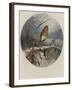 The Christmas Carol Singer-Harrison William Weir-Framed Giclee Print