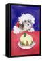 The Christmas Pudding-Diane Matthes-Framed Stretched Canvas
