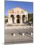 The Church of All Nations, Mount of Olives, Jerusalem, Israel, Middle East-Gavin Hellier-Mounted Photographic Print