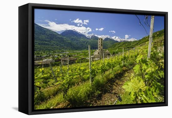 The Church of Bianzone Seen from the Green Vineyards of Valtellina, Lombardy, Italy, Europe-Roberto Moiola-Framed Stretched Canvas