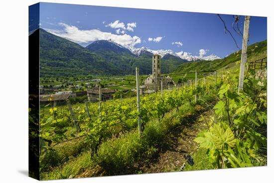 The Church of Bianzone Seen from the Green Vineyards of Valtellina, Lombardy, Italy, Europe-Roberto Moiola-Stretched Canvas