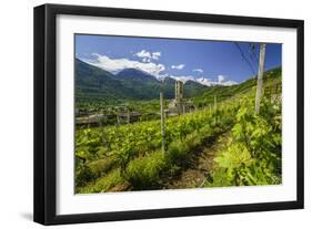 The Church of Bianzone Seen from the Green Vineyards of Valtellina, Lombardy, Italy, Europe-Roberto Moiola-Framed Photographic Print