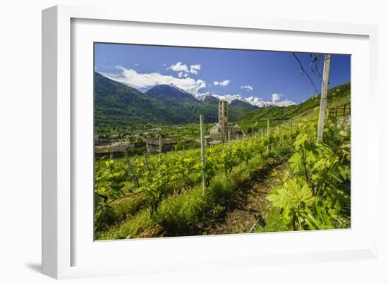 The Church of Bianzone Seen from the Green Vineyards of Valtellina, Lombardy, Italy, Europe-Roberto Moiola-Framed Photographic Print