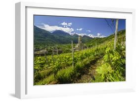 The Church of Bianzone Seen from the Green Vineyards of Valtellina, Lombardy, Italy, Europe-Roberto Moiola-Framed Photographic Print