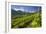 The Church of Bianzone Seen from the Green Vineyards of Valtellina, Lombardy, Italy, Europe-Roberto Moiola-Framed Photographic Print