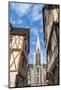 The Church of Notre-Dame of Dijon, Dijon, Burgundy, France-Jim Engelbrecht-Mounted Photographic Print