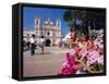 The Church of Virgin De Los Dolores and Flower Stall, Tegucigalpa, Honduras, Central America-Robert Francis-Framed Stretched Canvas