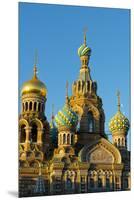 The Church on the Spilled Blood, UNESCO World Heritage Site, St. Petersburg, Russia, Europe-Miles Ertman-Mounted Premium Photographic Print