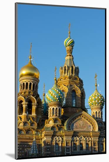 The Church on the Spilled Blood, UNESCO World Heritage Site, St. Petersburg, Russia, Europe-Miles Ertman-Mounted Photographic Print