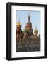 The Church on the Spilled Blood, UNESCO World Heritage Site, St. Petersburg, Russia, Europe-Miles Ertman-Framed Photographic Print