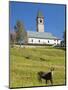 The church. Village Sappade, traditional alpine architecture in valley Val Biois, Italy.-Martin Zwick-Mounted Photographic Print