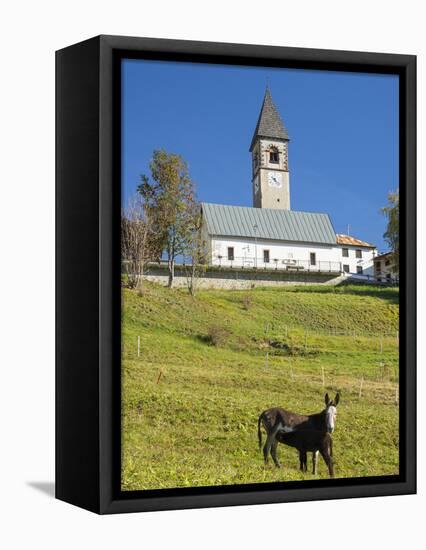 The church. Village Sappade, traditional alpine architecture in valley Val Biois, Italy.-Martin Zwick-Framed Stretched Canvas