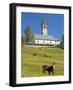 The church. Village Sappade, traditional alpine architecture in valley Val Biois, Italy.-Martin Zwick-Framed Photographic Print