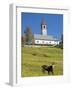 The church. Village Sappade, traditional alpine architecture in valley Val Biois, Italy.-Martin Zwick-Framed Photographic Print