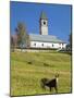 The church. Village Sappade, traditional alpine architecture in valley Val Biois, Italy.-Martin Zwick-Mounted Photographic Print