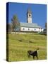 The church. Village Sappade, traditional alpine architecture in valley Val Biois, Italy.-Martin Zwick-Stretched Canvas