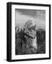 The Churchill Stone-null-Framed Photographic Print
