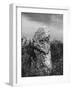 The Churchill Stone-null-Framed Photographic Print