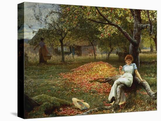 The Cider Orchard, 1848-1910-Robert Walker Macbeth-Stretched Canvas