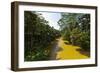 The Cijulang River-Rob-Framed Photographic Print