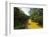 The Cijulang River-Rob-Framed Photographic Print