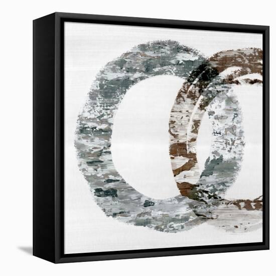 The circle II-PI Studio-Framed Stretched Canvas