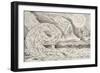 The Circle of the Lustful: Paolo and Francesca Inferno V-William Blake-Framed Giclee Print